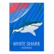 GREAT WHITE SHARK - Wild Animal - Educational Board - Poster Retro Vintage - Art Gallery - Deco