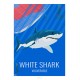 REQUIN BLANC - Animaux Sauvages - Planche Pédagogique - Affiche Rétro Ancienne - Art Galerie - Déco   Bonjour l'affiche, France,