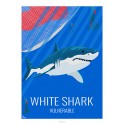 Affiche REQUIN BLANC - Animaux Sauvages - Planche Pédagogique