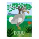 DODO - Animaux Sauvages - Planche Pédagogique - Affiche Rétro Ancienne - Art Galerie - Déco   Bonjour l'affiche, France, Provenc