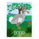 DODO - Wild Animal - Educational Board - Poster Retro Vintage - Art Gallery - Deco