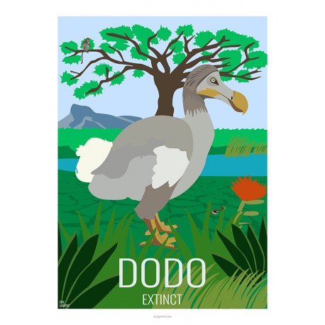DODO - Animaux Sauvages - Planche Pédagogique - Affiche Rétro Ancienne - Art Galerie - Déco   Bonjour l'affiche, France, Provenc