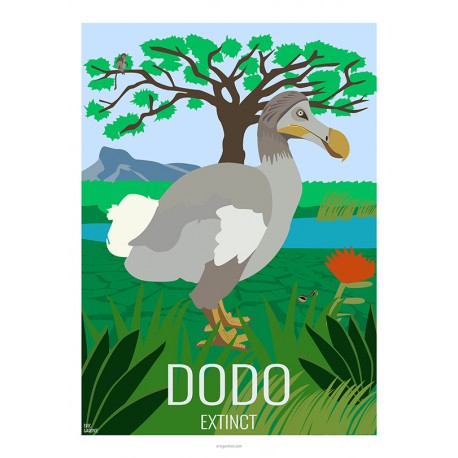 DODO - Wild Animal - Educational Board - Poster Retro Vintage - Art Gallery - Deco