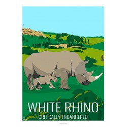 Poster WHITE RHINOCEROS - Wildlife - Educational Board