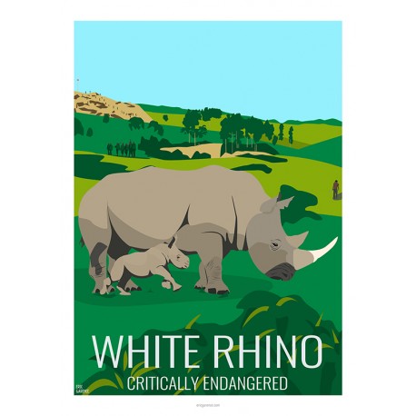 WHITE RHINO - Wild Animal - Educational Board - Poster Retro Vintage - Art Gallery - Deco