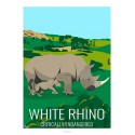 Poster WHITE RHINOCEROS - Wildlife - Educational Board