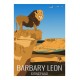 BARBARY LEON - Wild Animal - Educational Board - Poster Retro Vintage - Art Gallery - Deco