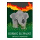 Elephant nain de Borneo - Animaux Sauvages - Planche Pédagogique  - Affiche Rétro Ancienne - Art Galerie  - Full   Bonjour l'aff