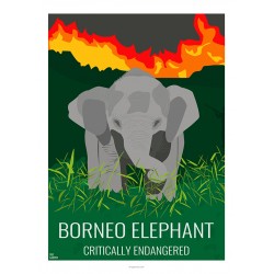 BORNEO ELEPHANT - Wild Animal - Educational Board - Poster Retro Vintage - Art Gallery - Deco