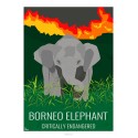 Affiche ELEPHANT NAIN DE BORNEO - Animaux Sauvages - Planche Pédagogique