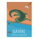 GAVIAL - Wild Animal - Educational Board - Poster Retro Vintage - Art Gallery - Deco