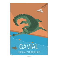 GAVIAL - Wild Animal - Educational Board - Poster Retro Vintage - Art Gallery - Deco