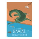 Poster GAVIAL - Wildlife - Educational Board