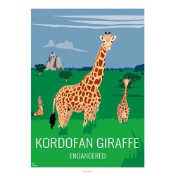 Poster KORDOFAN GIRAFFE - Wildlife - Educational Board
