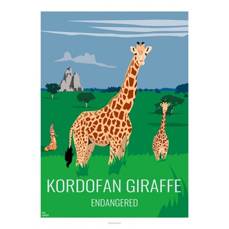 KORDOFAN GIRAFFE - Wild Animal - Educational Board - Poster Retro Vintage - Art Gallery - Deco
