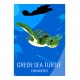 GREEN TURTLE - Wild Animal - Educational Board - Poster Retro Vintage - Art Gallery - Deco