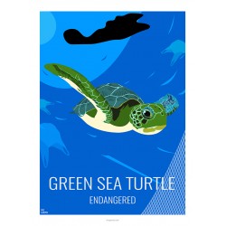 Tortue Verte - Animaux Sauvages - Planche Pédagogique  - Affiche Rétro Ancienne - Art Galerie  - Full   Bonjour l'affiche, Franc