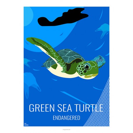 GREEN TURTLE - Wild Animal - Educational Board - Poster Retro Vintage - Art Gallery - Deco