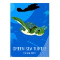 Poster GREEN TURTLE - Wildlife - Educational Board