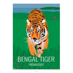 Tigre du Bengale - Animaux Sauvages - Planche Pédagogique  - Affiche Rétro Ancienne - Art Galerie  - Full   Bonjour l'affiche, F