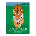 Poster BENGAL TIGER - Wildlife - Educational Board