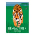 Affiche TIGRE DU BENGALE - Animaux Sauvages - Planche Pédagogique