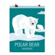 OURS POLAIRE - Animaux Sauvages - Planche Pédagogique