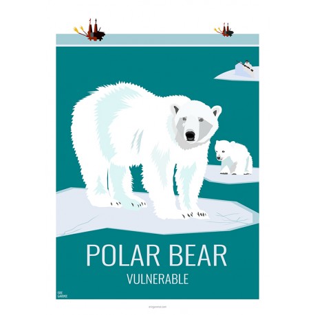 POLAR BEAR - Wildlife - Educational Board