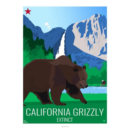 CALIFORNIA GRIZZLY - Wild Animal - Educational Board - Poster Retro Vintage - Art Gallery - Deco