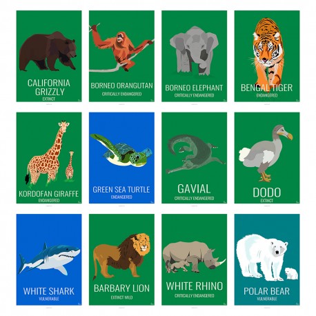 ANIMALS - Eric Garence, Dodo, Rhino, Tiger, Grizzly, Shark, Lion, Orangutan, Turtle, Polar Bear, Grizzly, Gavial, Girafe, WILD