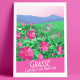 Poster Grasse Rose Centifolia by Eric Garence, French Riviera aluminim plexiglass paper original limited Capital of perfume